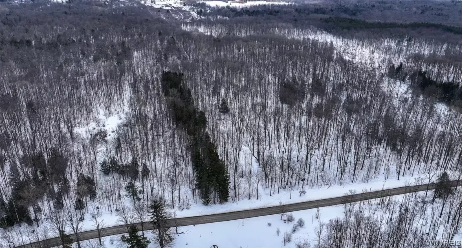 Land for sale in Colden, NY