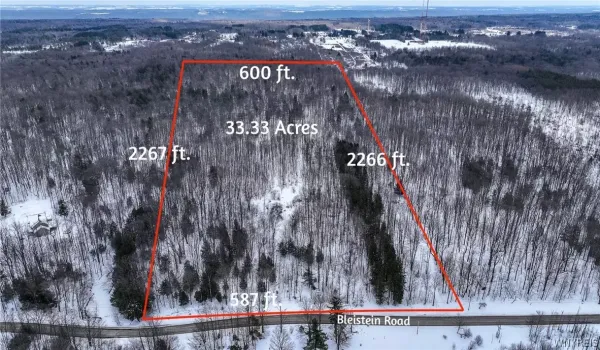Land for sale in Colden, NY