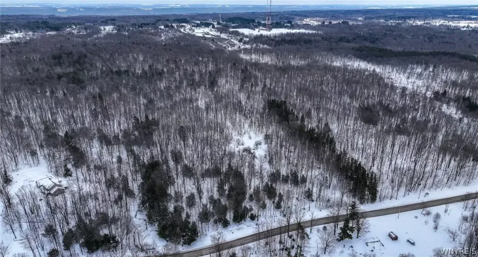 Land for sale in Colden, NY