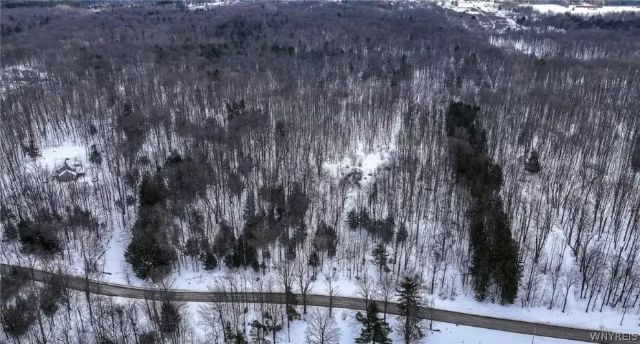 Land for sale in Colden, NY